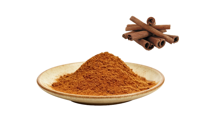 Best Cinnamon Powder